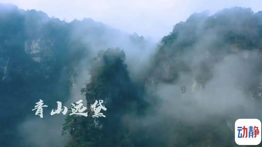 厉害了我的巧虎8