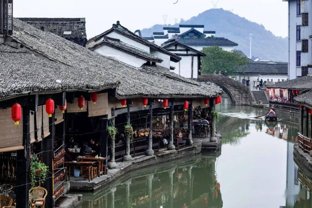 组装机械恐龙3